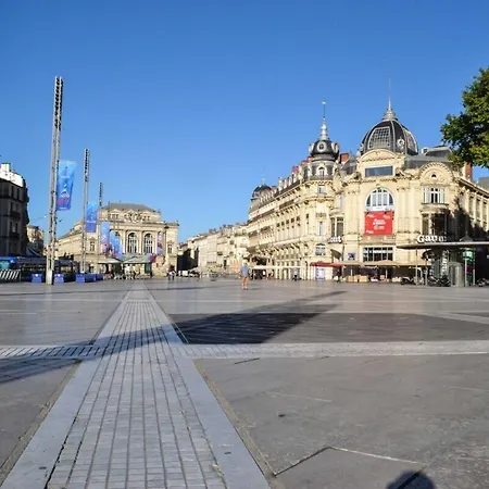 Le Spot - 2 Et Terrasse Монпелье